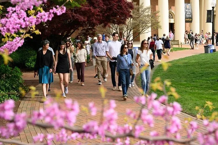College Admissions Consultants