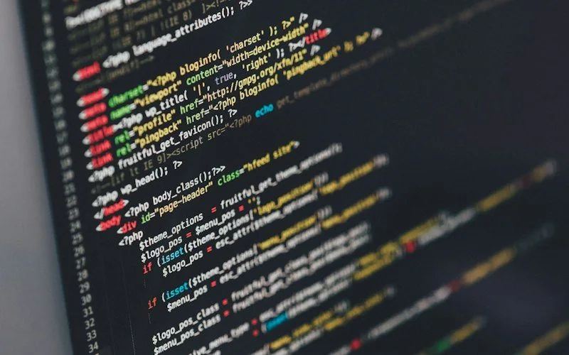 Web Designers
