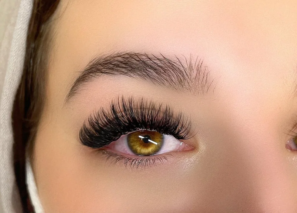 Lash & Brow Specialists