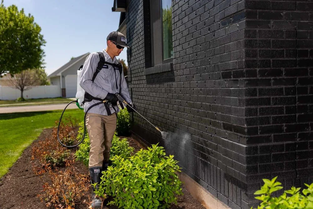 Commercial Pest Control