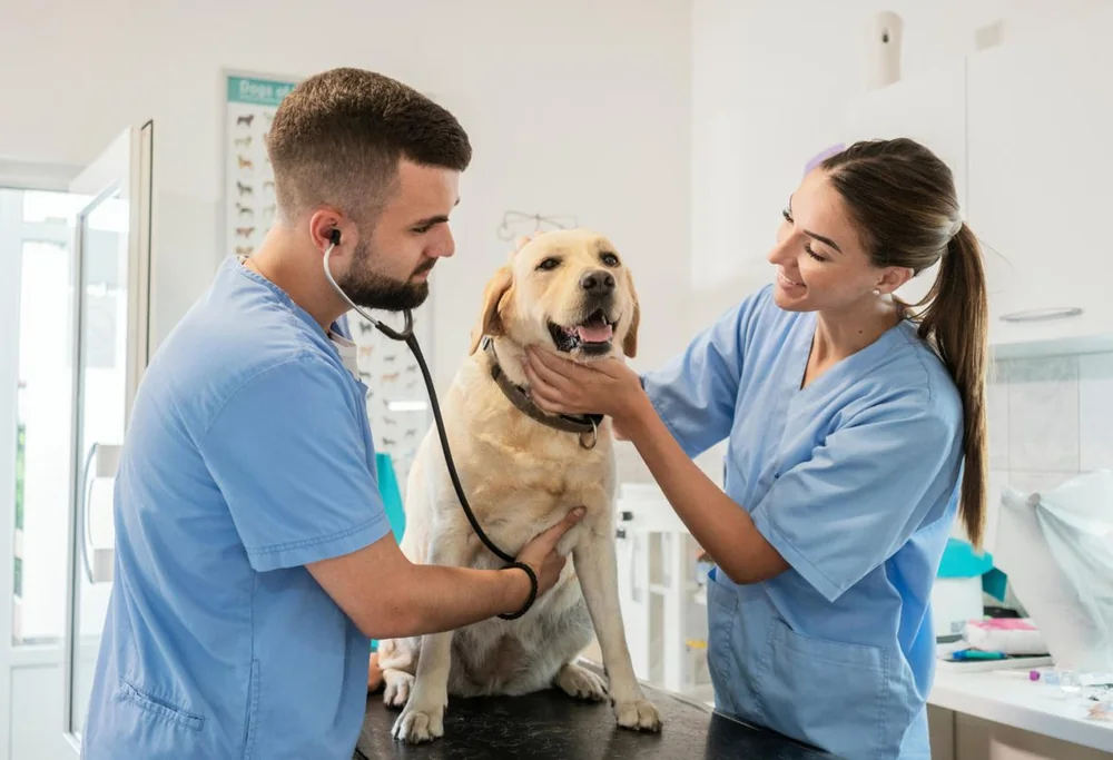 Veterinarians